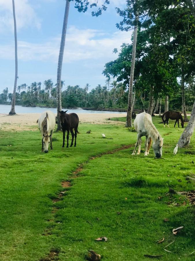 לאס גלראס Oasis En La Naturaleza Rancho Alto Bonito מראה חיצוני תמונה